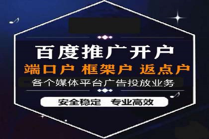 百度竞价广告的投放策略与成功案例分析